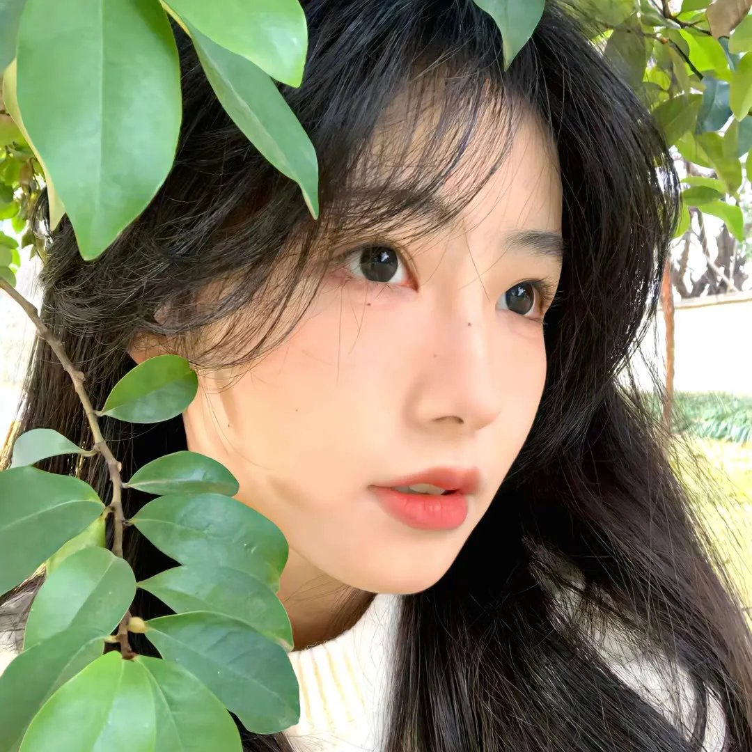 篮球美少女